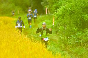 BIB: 
                            <button type="button" onclick="openModal(13456085)" class="btn btn-primary btn-sm float-right btn-popup" data-toggle="modal" data-target=".modal-high-quality">
                        <i class="fas fa-shopping-cart"></i> Add to Cart
                    </button>
                                            <button type="button" onclick="isThisMe(13456085, true)" class="btn btn-success btn-sm float-right btn-popup btn-isme hidden" data-toggle="tooltip" data-placement="bottom" title="นี่คือรูปของคุณใช่ไหม คลิกที่นี่เพื่อเอาเข้าอัลบั้ม">
                        <i class="fas fa-plus"></i> Add to album
                    </button>
                    <button type="button" onclick="isThisMe(13456085, false)" class="btn btn-warning btn-sm float-right btn-popup btn-isnotme hidden">
                        <i class="fas fa-ban"></i> Remove from album
                    </button>